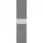 Смарт-часы Apple Watch Series 6 40mm Milanese Silver 1